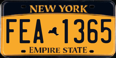 NY license plate FEA1365