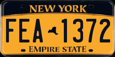 NY license plate FEA1372