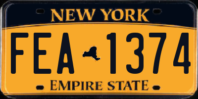 NY license plate FEA1374