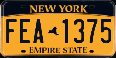 NY license plate FEA1375
