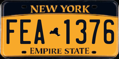 NY license plate FEA1376