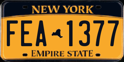 NY license plate FEA1377