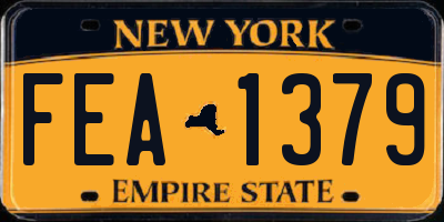 NY license plate FEA1379