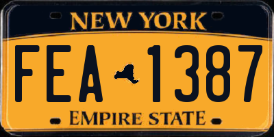 NY license plate FEA1387