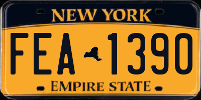 NY license plate FEA1390