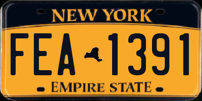 NY license plate FEA1391