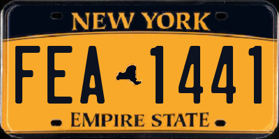 NY license plate FEA1441