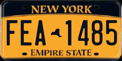 NY license plate FEA1485
