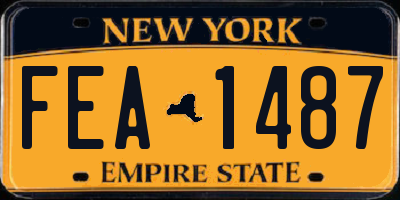 NY license plate FEA1487