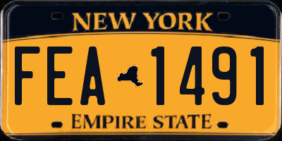 NY license plate FEA1491
