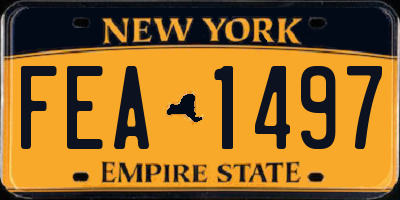 NY license plate FEA1497