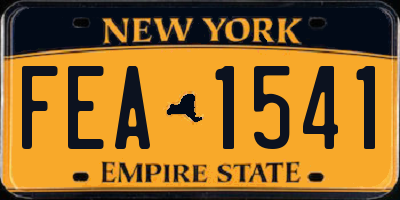 NY license plate FEA1541
