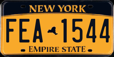 NY license plate FEA1544