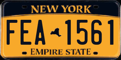 NY license plate FEA1561