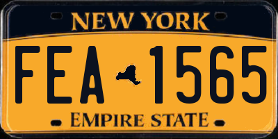 NY license plate FEA1565