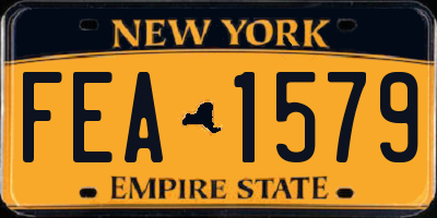 NY license plate FEA1579