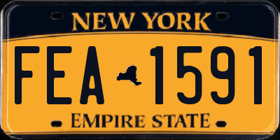 NY license plate FEA1591