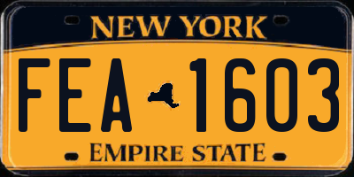 NY license plate FEA1603