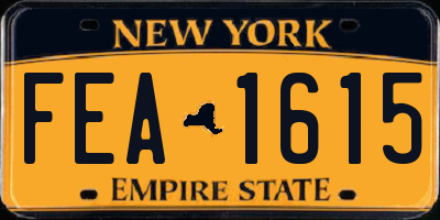 NY license plate FEA1615