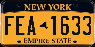 NY license plate FEA1633