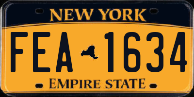NY license plate FEA1634