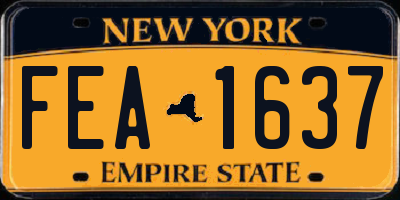 NY license plate FEA1637