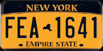 NY license plate FEA1641