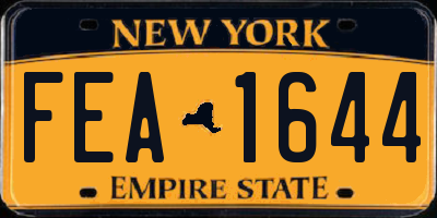NY license plate FEA1644