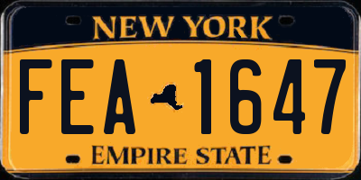 NY license plate FEA1647