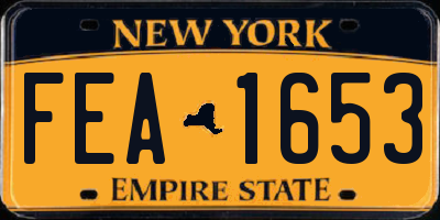 NY license plate FEA1653