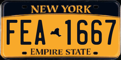 NY license plate FEA1667