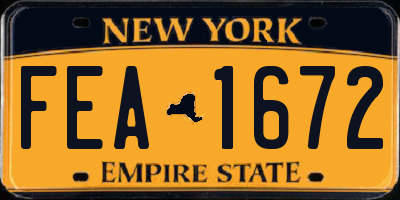 NY license plate FEA1672