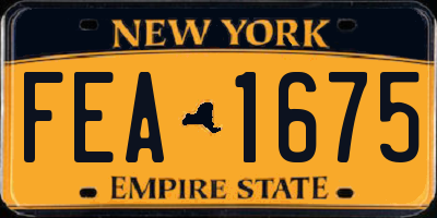 NY license plate FEA1675