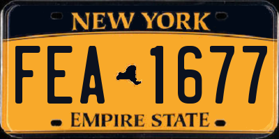 NY license plate FEA1677