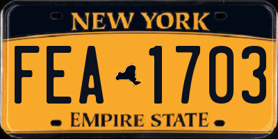 NY license plate FEA1703