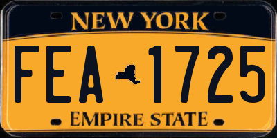 NY license plate FEA1725