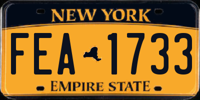 NY license plate FEA1733