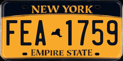 NY license plate FEA1759
