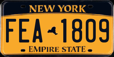 NY license plate FEA1809