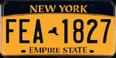 NY license plate FEA1827