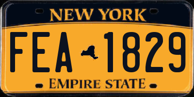 NY license plate FEA1829