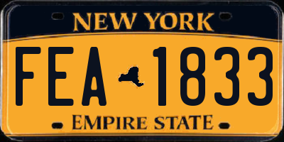 NY license plate FEA1833