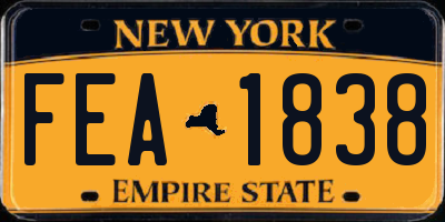 NY license plate FEA1838