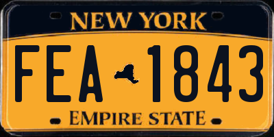 NY license plate FEA1843
