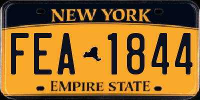 NY license plate FEA1844