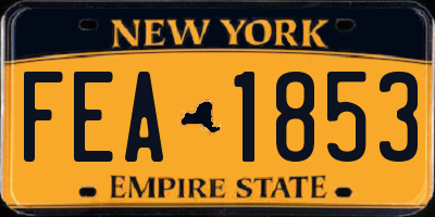 NY license plate FEA1853