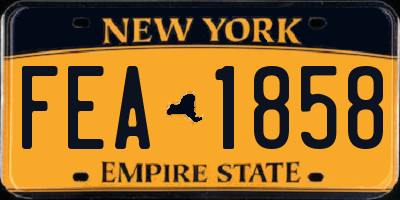 NY license plate FEA1858