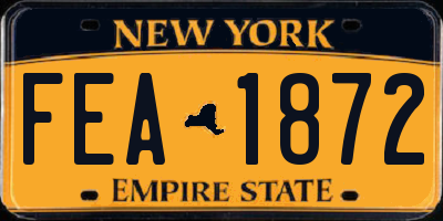 NY license plate FEA1872
