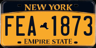 NY license plate FEA1873