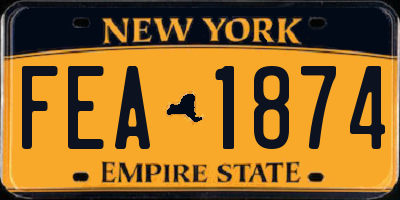 NY license plate FEA1874